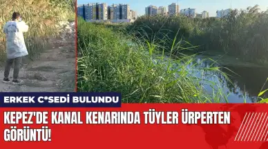 Kepez'de kanal kenarında tüyler ürperten görüntü!