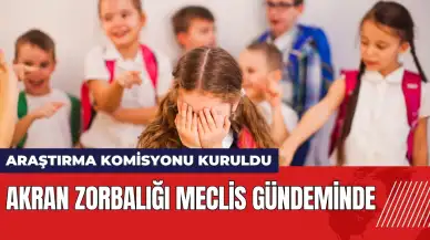 Akran zorbalığı Meclis gündeminde: Araştırma Komisyonu kuruldu