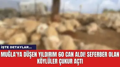 Muğla'ya düşen yıldırım 60 can aldı! Seferber olan köylüler çukur açtı