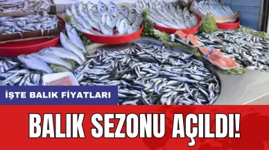 Balık sezonu açıldı! İşte balık fiyatları