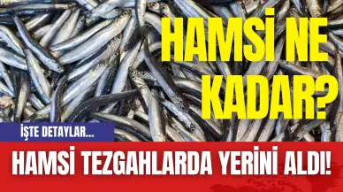 Hamsi tezgahlarda yerini aldı! Hamsi ne kadar?