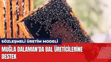 Muğla Dalaman'da bal üreticilerine destek: Sözleşmeli üretim modeli