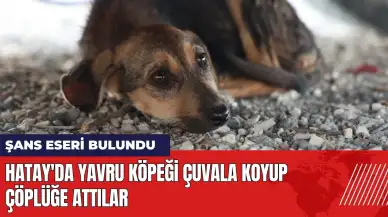 Hatay'da yavru köpeği çuvala koyup çöplüğe attılar