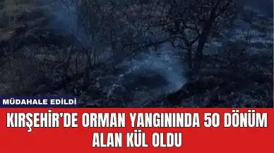 Kırşehir’de Orman Yangınında 50 Dönüm Alan Kül Oldu