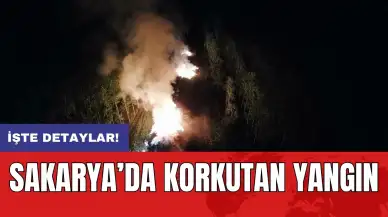 Sakarya’da korkutan yangın