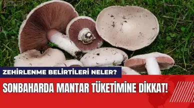 Sonbaharda mantar tüketimine dikkat! Zehirlenme belirtileri neler?