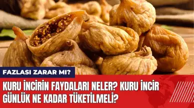 Kuru incirin faydaları neler? Kuru incir günlük ne kadar tüketilmeli?