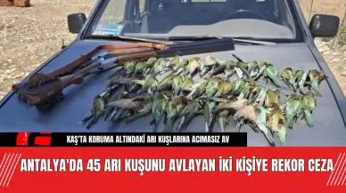 Antalya'da 45 Arı Kuşunu Avlayan İki Kişiye Rekor Ceza