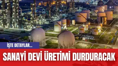 Sanayi Devi Üretimi Durduracak