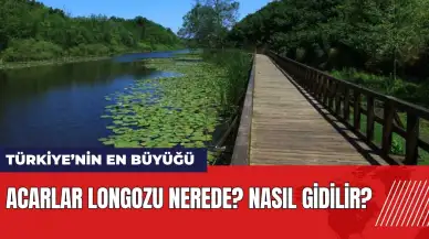 Acarlar Longozu nerede? Nasıl gidilir?