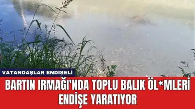 Bartın Irmağı'nda Toplu Balık Öl*mleri Endişe Yaratıyor