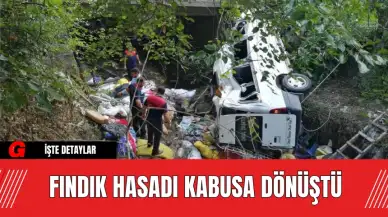 Fındık Hasadı Kabusa Dönüştü