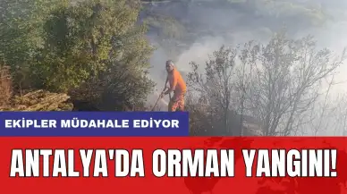 Antalya'da orman yangını!