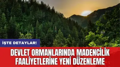 Devlet ormanlarında madencilik faaliyetlerine yeni düzenleme