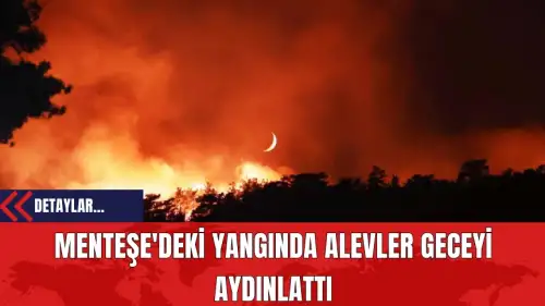 Menteşe'deki Yangında Alevler Geceyi Aydınlattı