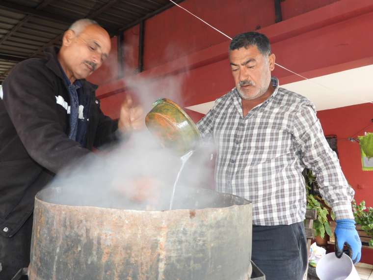 Hatay Defne Sabunu saç ve deri sağlığı için özel bir çözüm 8