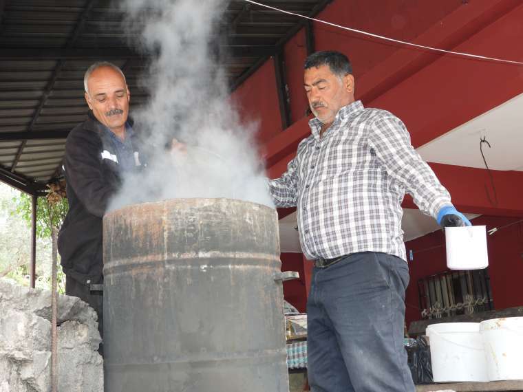 Hatay Defne Sabunu saç ve deri sağlığı için özel bir çözüm 6