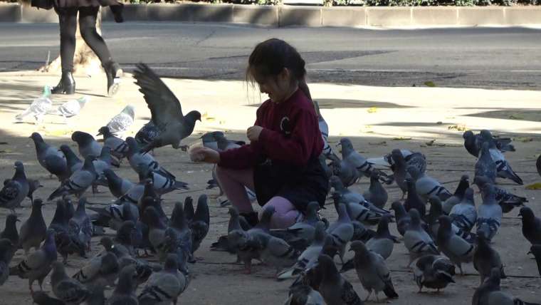 Adana'ya bahar erken geldi! 22 dereceyi gören parka koştu 1