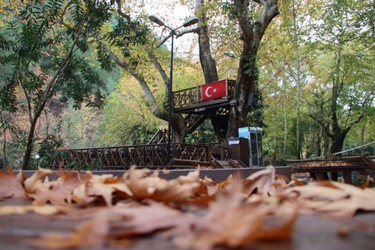 Dağılcak'ta görsel şölen! Doğa tutkunları akın ediyor 2