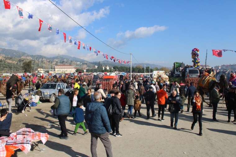 Aydın'da Deve Güreşleri Heyecanı Başladı: Dünya Kupası Şampiyonunu Buldu! 12