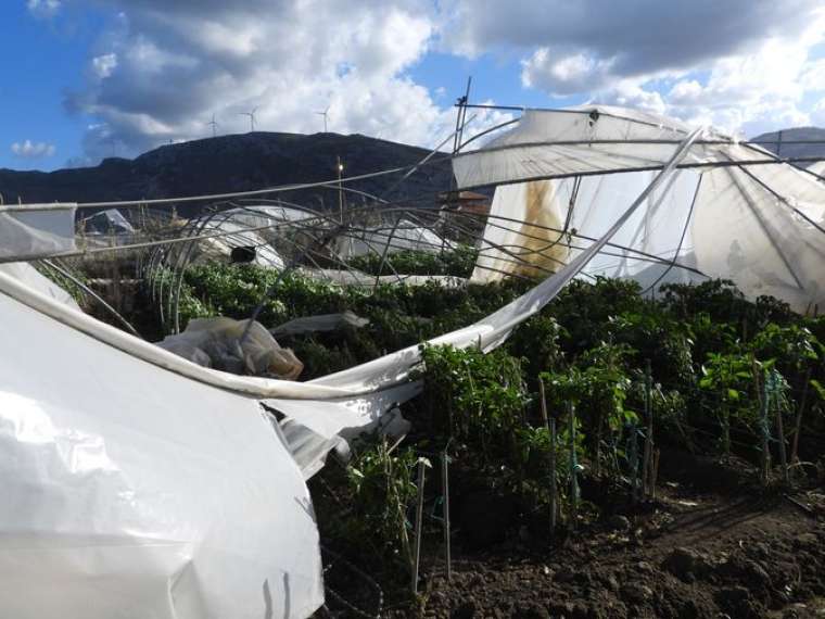 Hatay Samandağ'da hortum seraları vurdu! Zarar 1 milyon 4