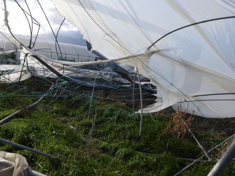 Hatay Samandağ'da hortum seraları vurdu! Zarar 1 milyon 2