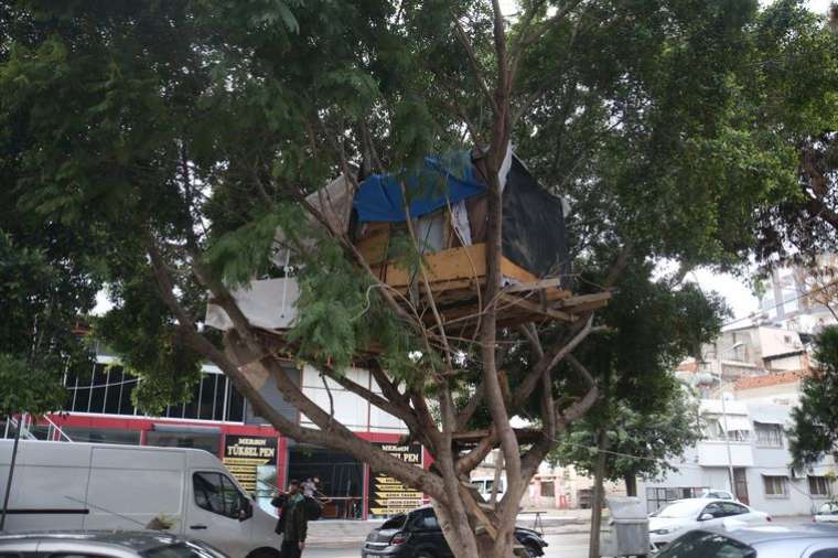 Mersin'de ağaçkondu yaptılar! Gören dönüp bir daha bakıyor 4