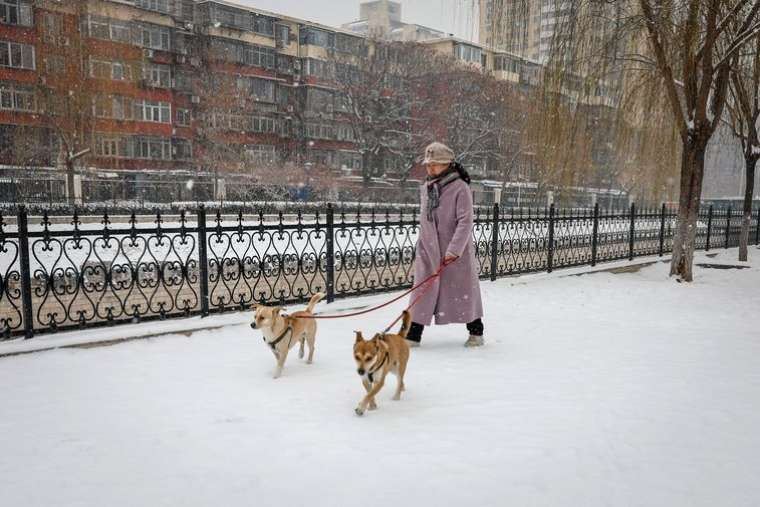 Pekin'de kar yağışı hayatı olumsuz etkiledi 6