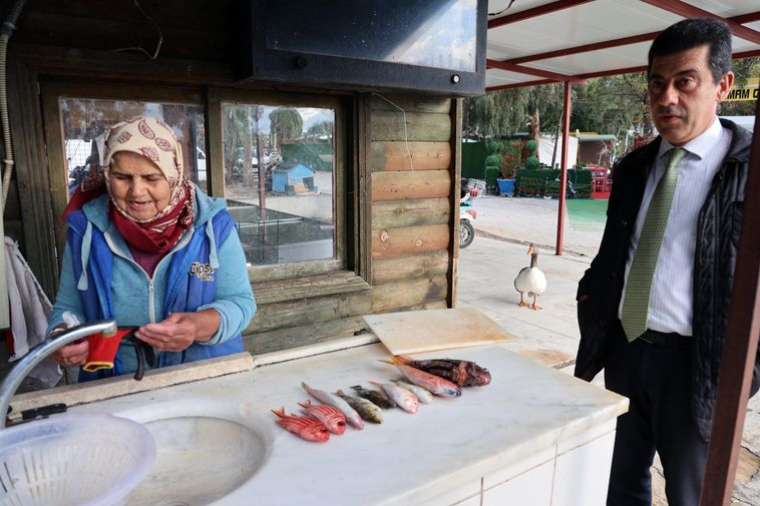 Denizlerde korkutan sıcaklık artışı! Akdeniz ve Ege'de balıklar büyük tehlikede 6