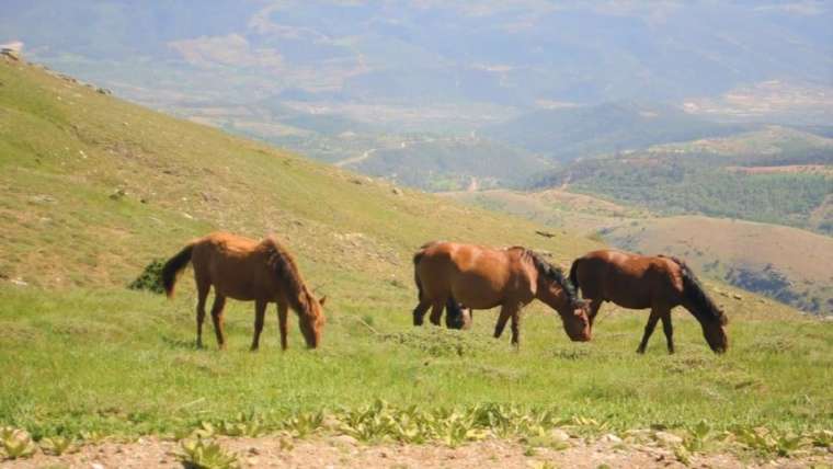 Ege'nin 2. en yüksek dağı Akdağ, Milli Park ilan edildi 7