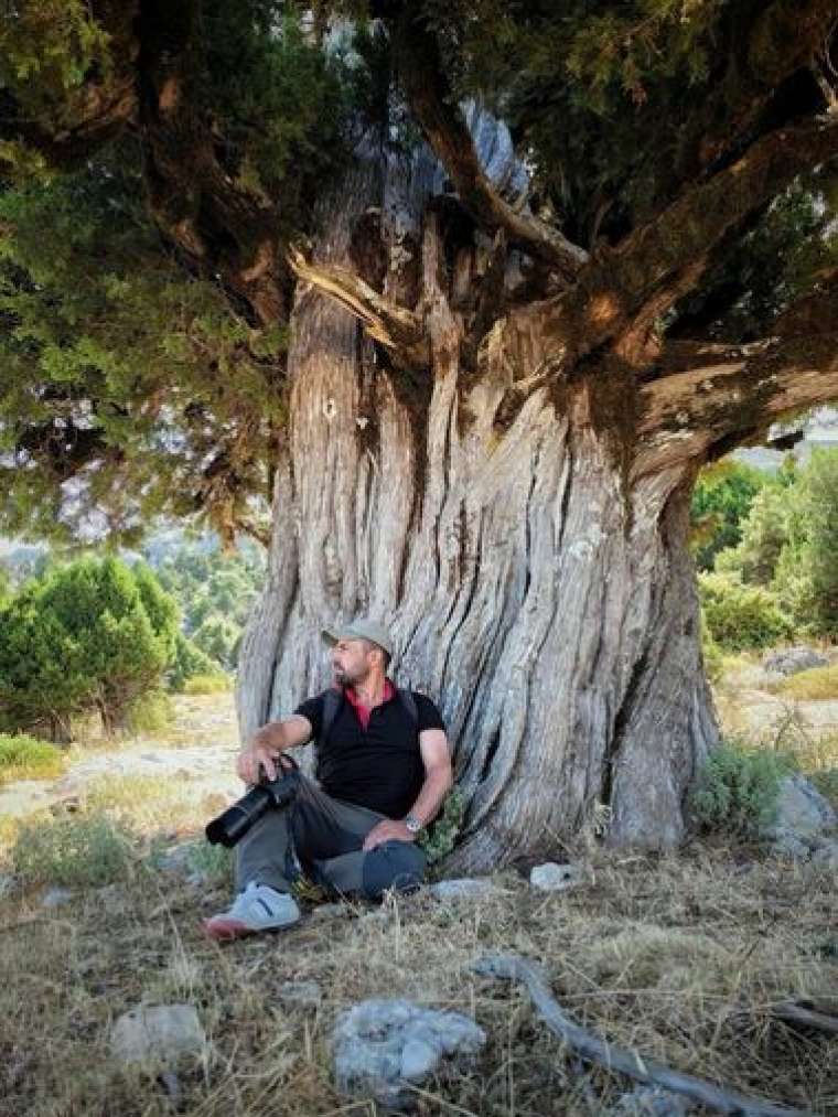 20 yıllık inşaat ustasından kelebek fotoğrafları 1