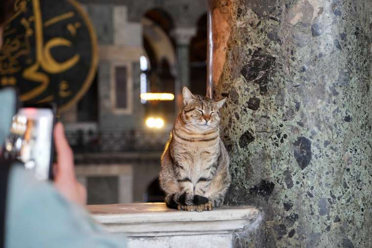 Ayasofya'nın Yeni 'Gli'si' Turistlerin İlgisini Çekiyor 3