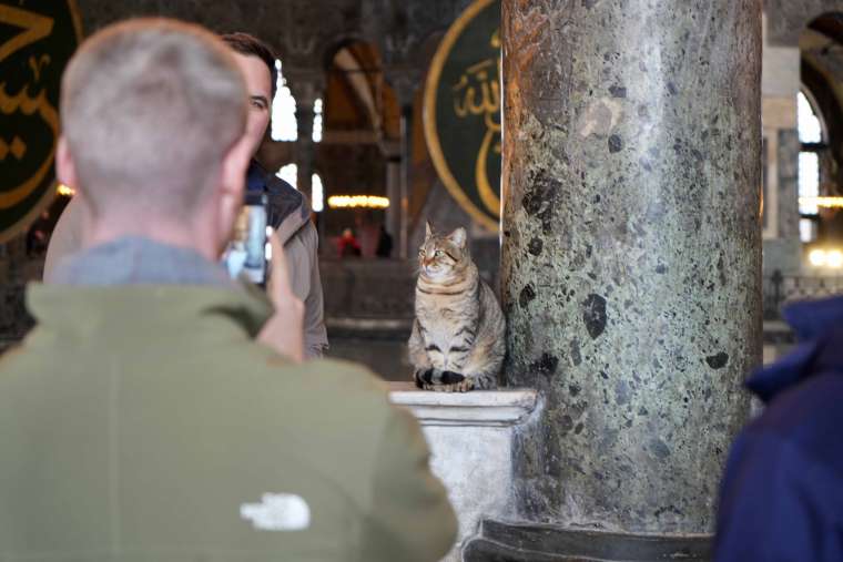 Ayasofya'nın Yeni 'Gli'si' Turistlerin İlgisini Çekiyor 2