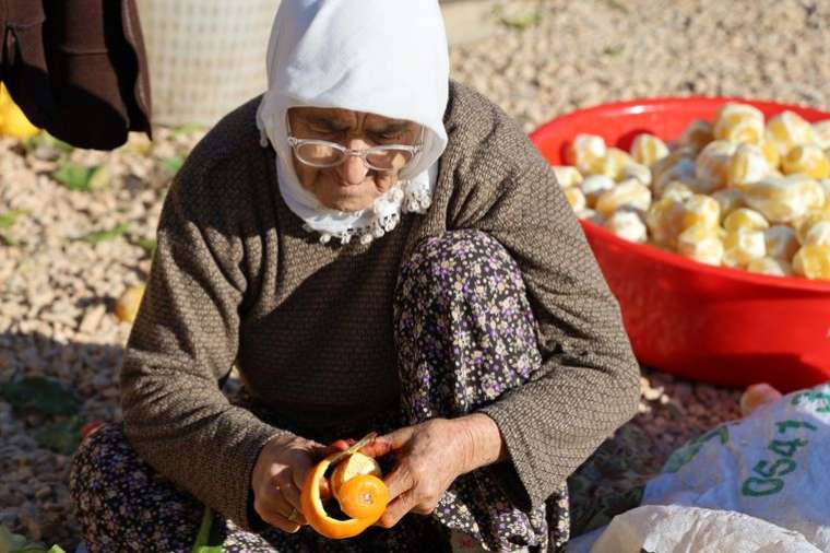 Narenciye dalında kalmıştı ama kabuğu altın değerinde! 2