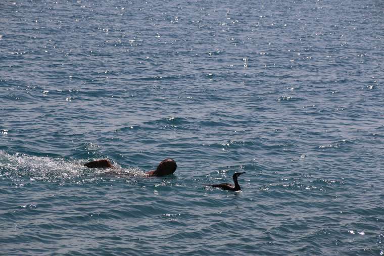 Antalya'da Bahar Havası: Konyaaltı Sahili İnsan Akınına Uğradı 4