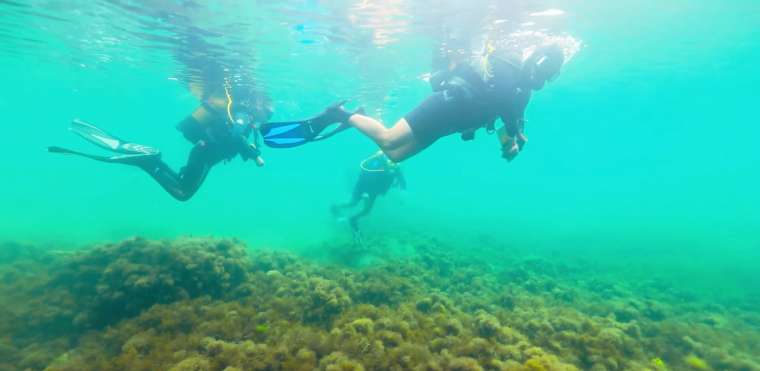 Karadeniz'in Sualtı Mirası Ortaya Çıktı 5