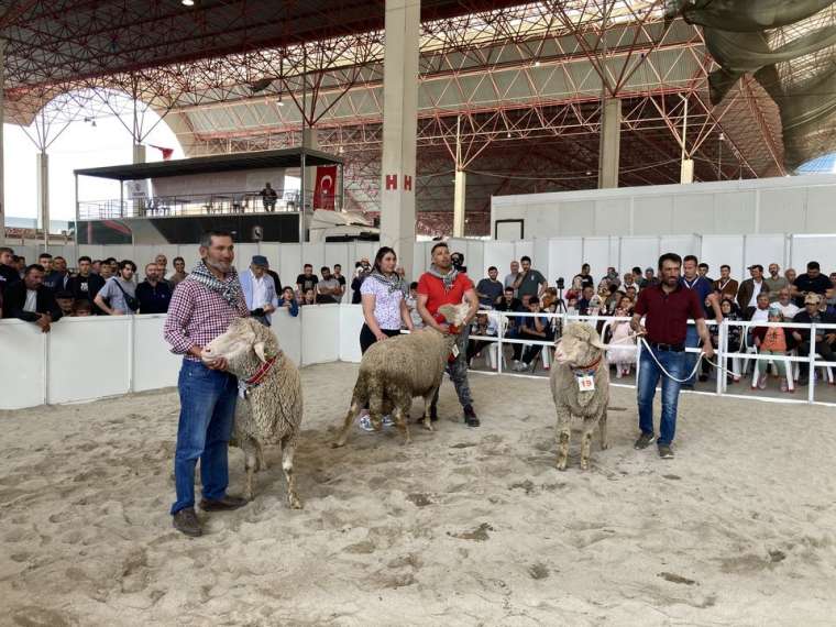 Burdur'da gelenek değişmedi! İşte Honamlı Teke ve Koç Güzellik Yarışması 3