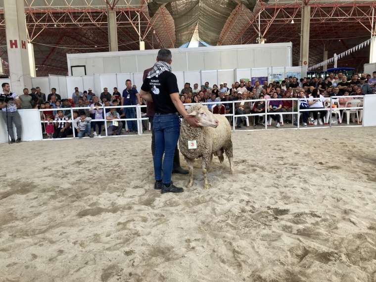 Burdur'da gelenek değişmedi! İşte Honamlı Teke ve Koç Güzellik Yarışması 11