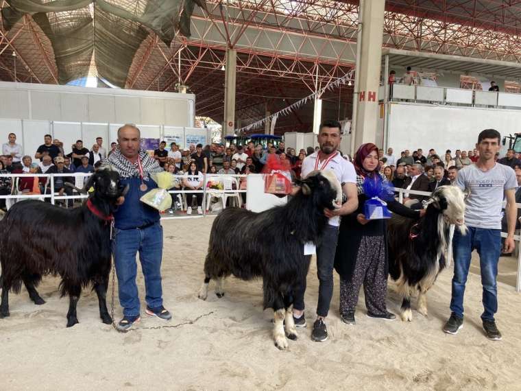 Burdur'da gelenek değişmedi! İşte Honamlı Teke ve Koç Güzellik Yarışması 2