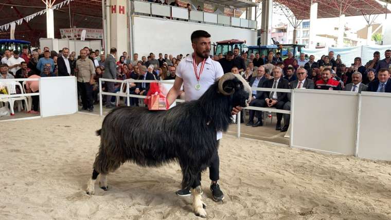 Burdur'da gelenek değişmedi! İşte Honamlı Teke ve Koç Güzellik Yarışması 10