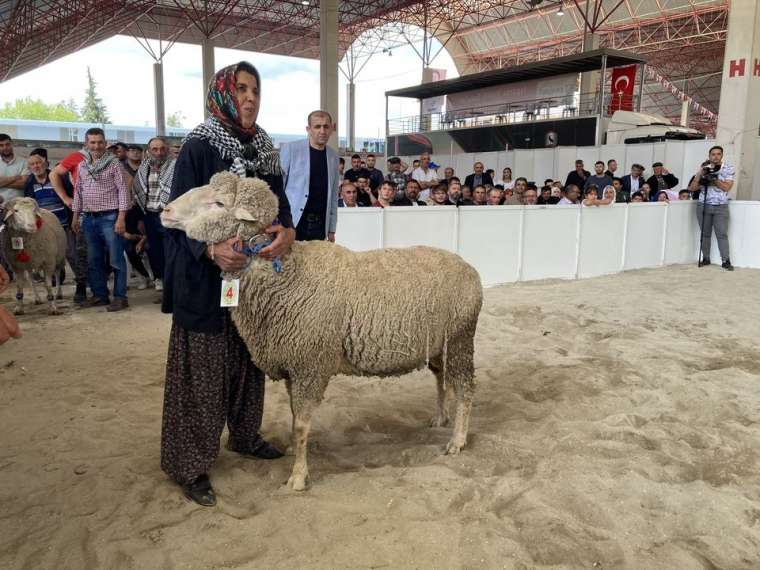 Burdur'da gelenek değişmedi! İşte Honamlı Teke ve Koç Güzellik Yarışması 4