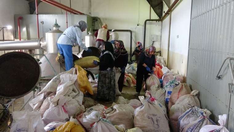 4 tondan 1 litre çıkıyor! Isparta'da gül yağı fiyatları dudak uçuklatıyor 7