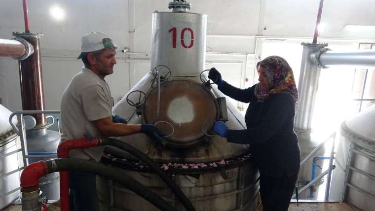 4 tondan 1 litre çıkıyor! Isparta'da gül yağı fiyatları dudak uçuklatıyor 9