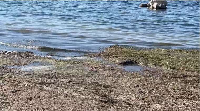 Eğirdir Gölü'nde su seviyesi 2 metre çekildi 2