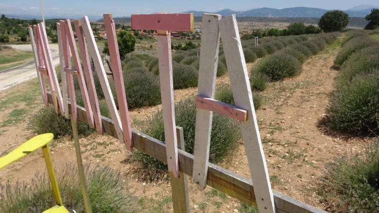 Isparta'nın lavanta kokulu köyü 3