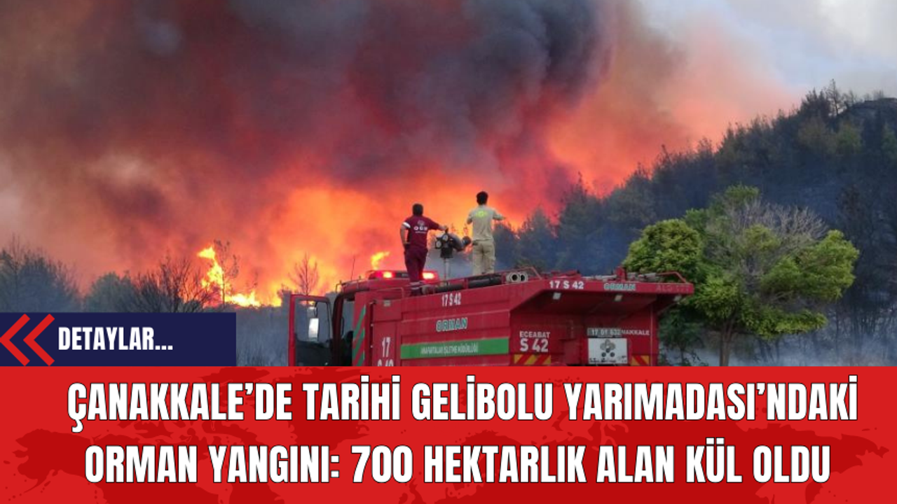 Çanakkale’de Tarihi Gelibolu Yarımadası’ndaki Orman Yangını: 700 Hektarlık Alan Kül Oldu