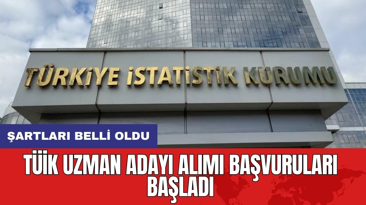 TÜİK uzman adayı alımı başvuruları başladı: Şartları belli oldu