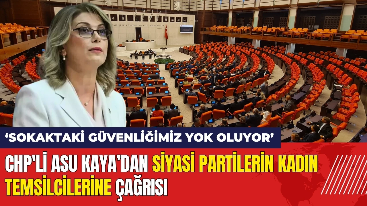 CHP'li Asu Kaya’dan siyasi partilerin kadın temsilcilerine çağrı