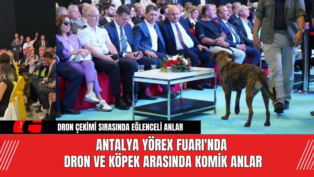 Antalya YÖREX Fuarı'nda Dron ve Köpek Arasında Komik Anlar