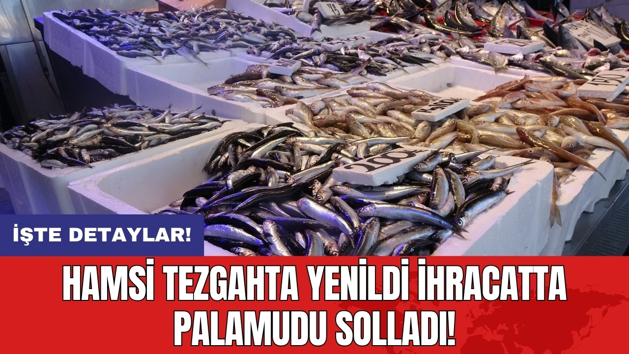 Hamsi tezgahta yenildi ihracatta palamudu solladı!